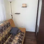 Goscinne Sloneczko