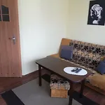 Goscinne Sloneczko