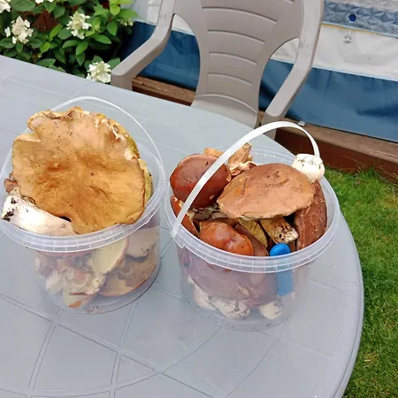 Goscinne Sloneczko Kąty Rybackie