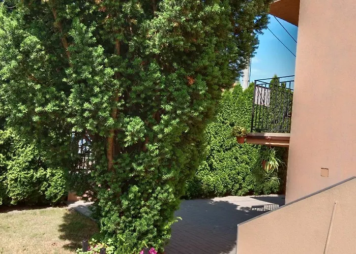 Goscinne Sloneczko * Kąty Rybackie